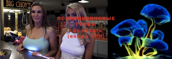 прущие крисы Арсеньев
