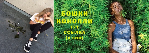 прущие крисы Арсеньев
