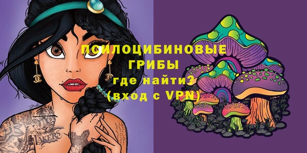 МДПВ Аркадак