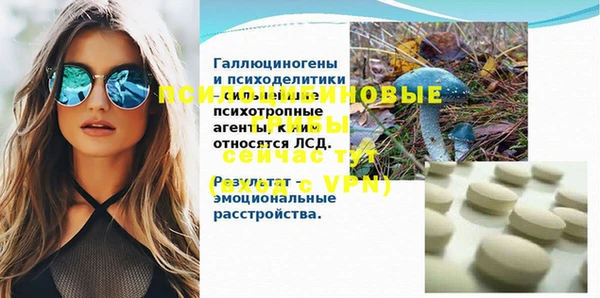 молекула духа Армянск