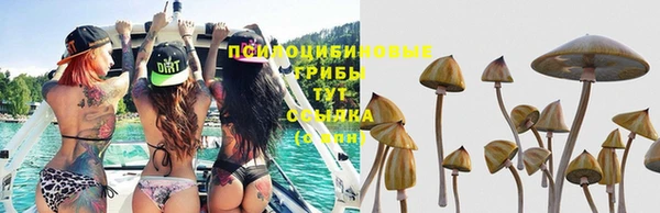 молекула духа Армянск